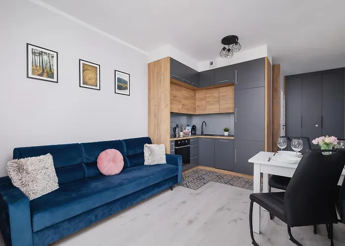 Przestronny Z Balkonem By Noclegi Renters